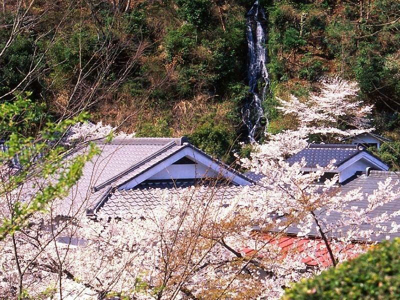 Motoyu Ryokan أتسوغي المظهر الخارجي الصورة