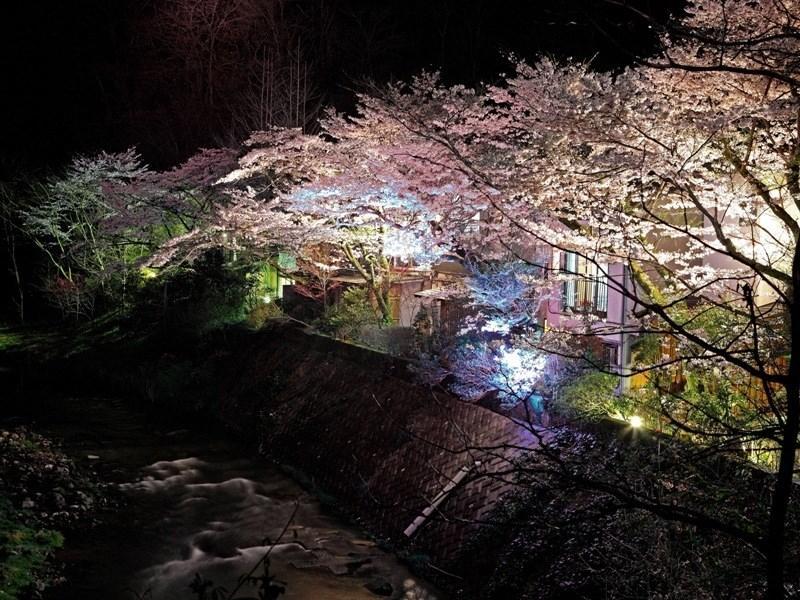 Motoyu Ryokan أتسوغي المظهر الخارجي الصورة