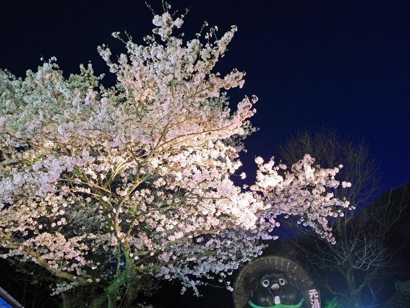 Motoyu Ryokan أتسوغي المظهر الخارجي الصورة